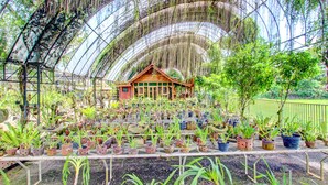 Een kas met een houten constructie in het midden, omringd door verschillende potplanten op tafels.