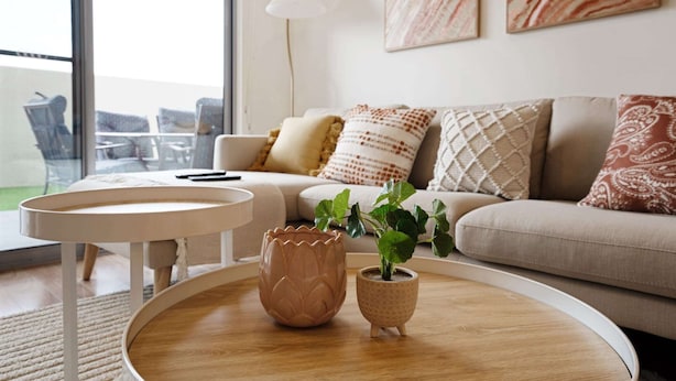 Un salon moderne avec un canapé, une table basse ronde et une plante en pot.