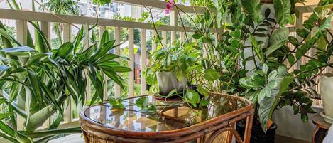 Appartement, 1 chambre, fumeurs, balcon | Enceinte de l’hébergement