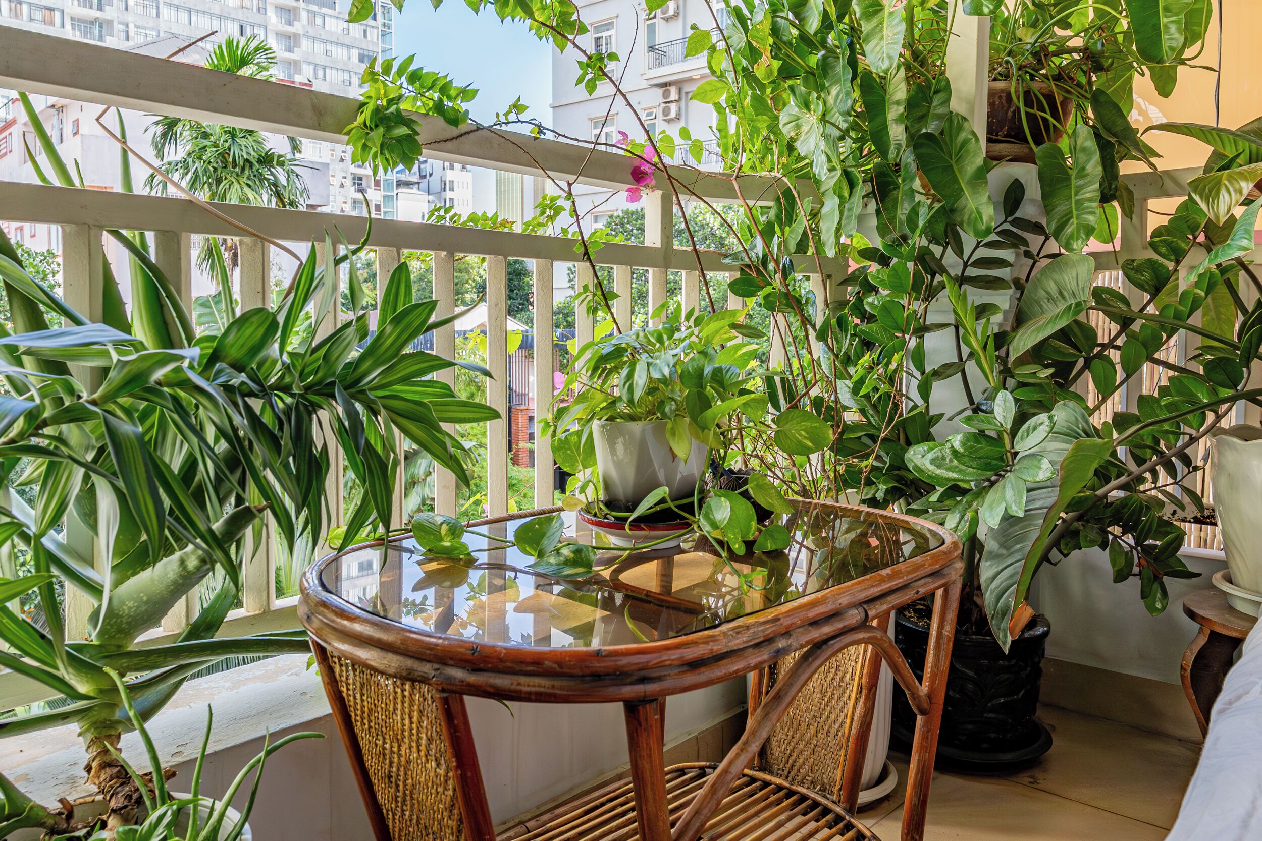 Appartement, 1 slaapkamer, roken, balkon | Terrein van de accommodatie