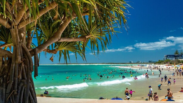 A beach with palm trees, clear turquoise water, and people swimming and sunbathing. - Bright 2-Bed Apartment with Stunning Ocean Views (Kings Beach)