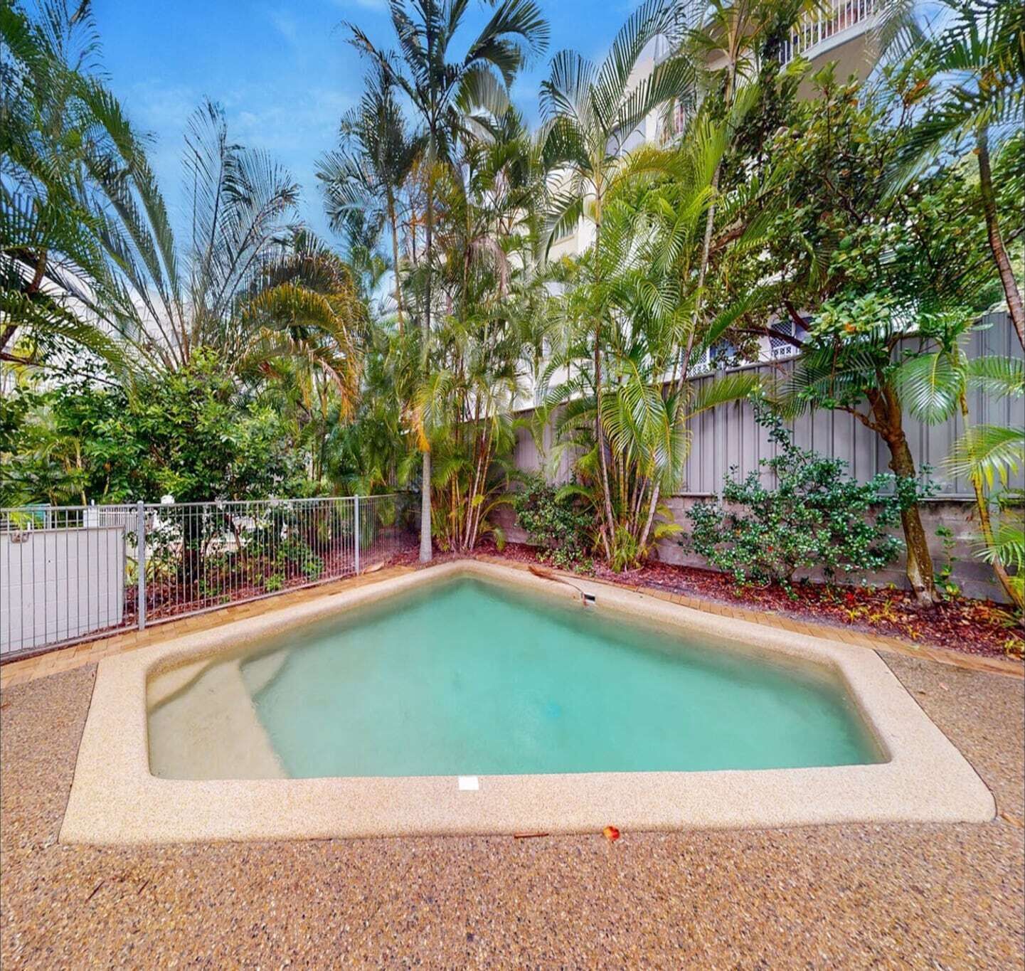 A rectangular swimming pool with a concrete border, surrounded by a variety of tropical plants and a metal fence.