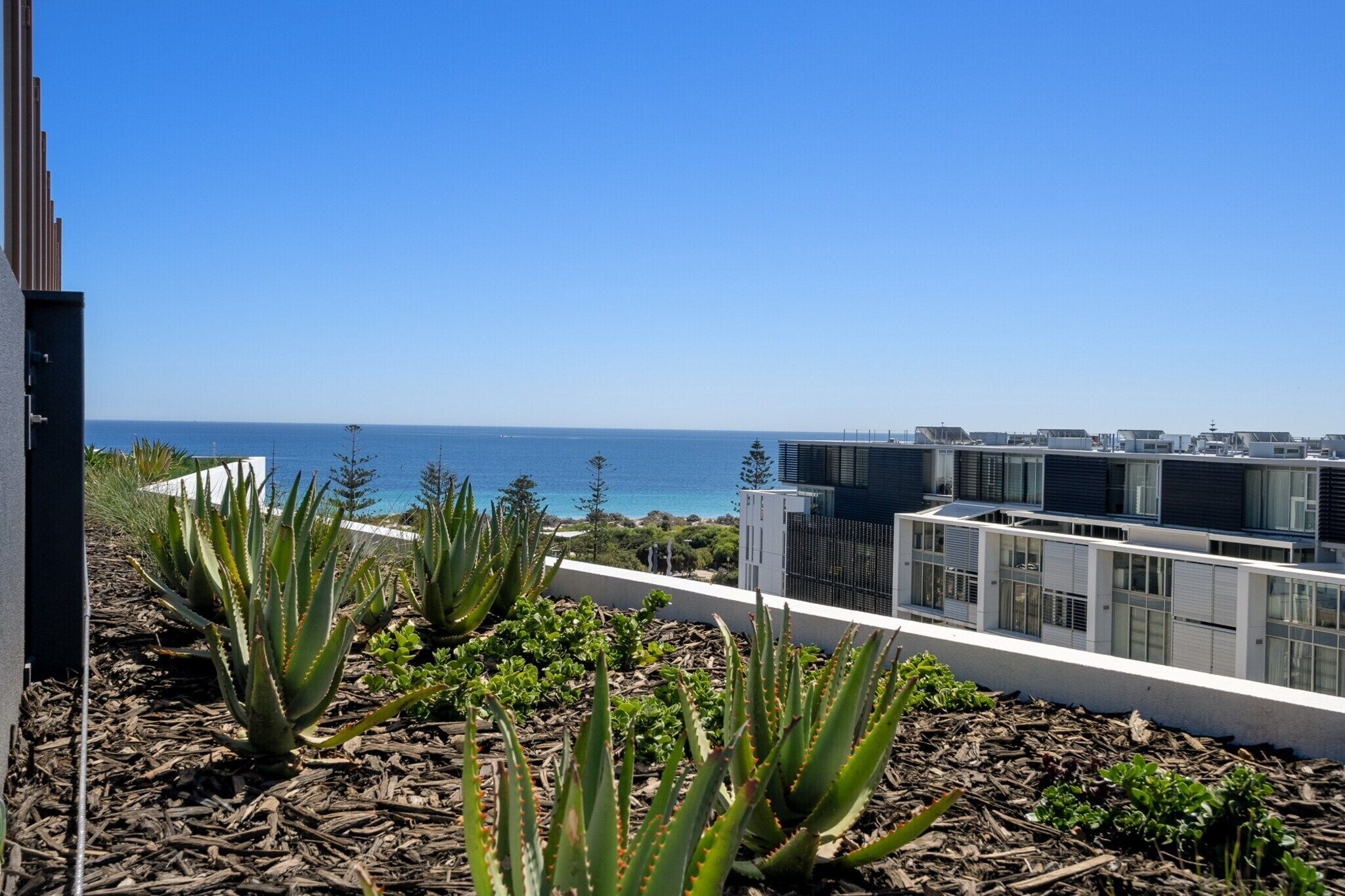 المنطقة المحيطة بالمنشأة