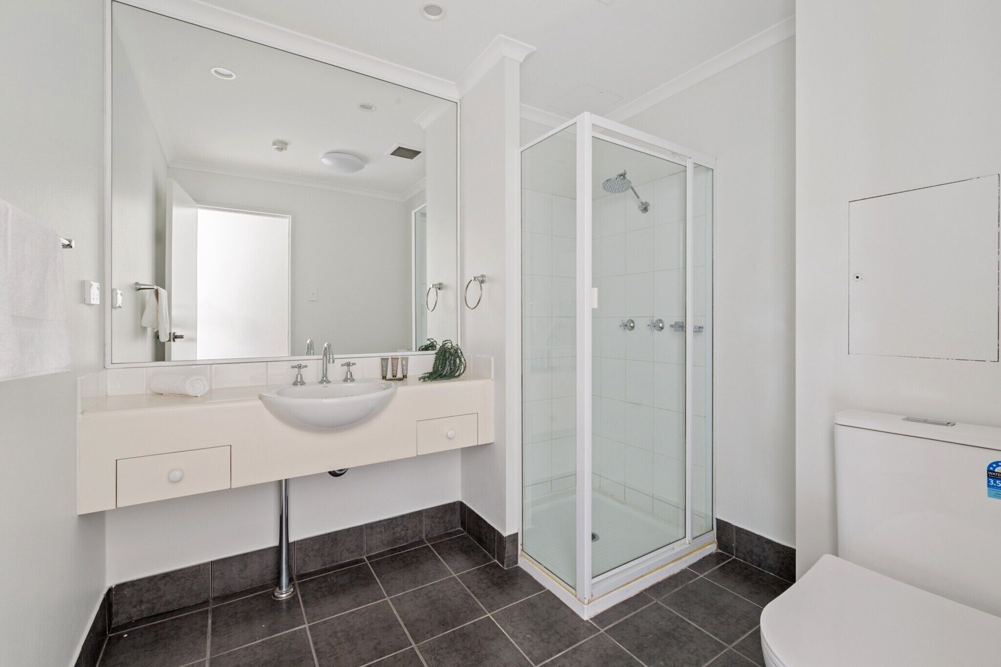 Shower, hair dryer, towels