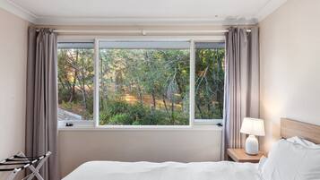 Iron/ironing board, Internet, bed sheets