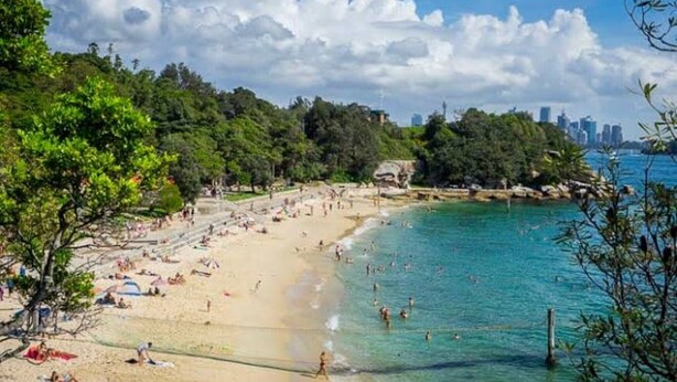 Beach - Bright 2-Bed Flat with Balcony in Vaucluse (Vaucluse)