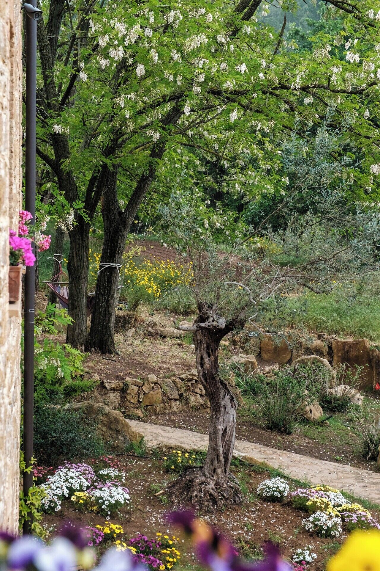 Parco della struttura