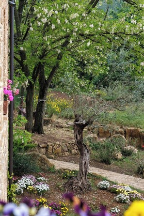Property grounds - If you want to experience authentic and timeless Sicily, you are in the right place. (Piazza Armerina)