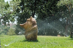 المنطقة المحيطة بالمنشأة