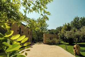 Property grounds - If you want to experience authentic and timeless Sicily, you are in the right place. (Piazza Armerina)