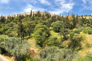 A hillside with dense greenery and trees, a clear sky, and rocky terrain in the background. - Acropolis Hillside Escape, Sea & Nature Views (Athina)