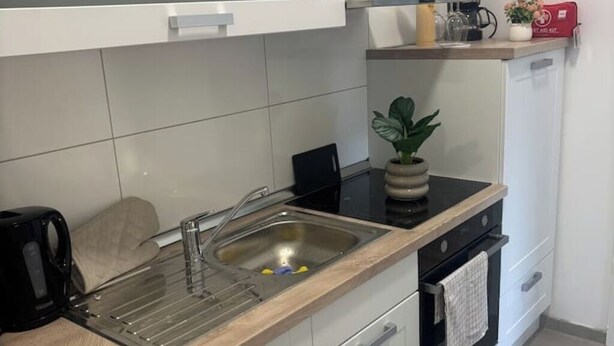 A kitchen with a stainless steel sink, a black coffee maker, a toaster, and a potted plant on the counter.