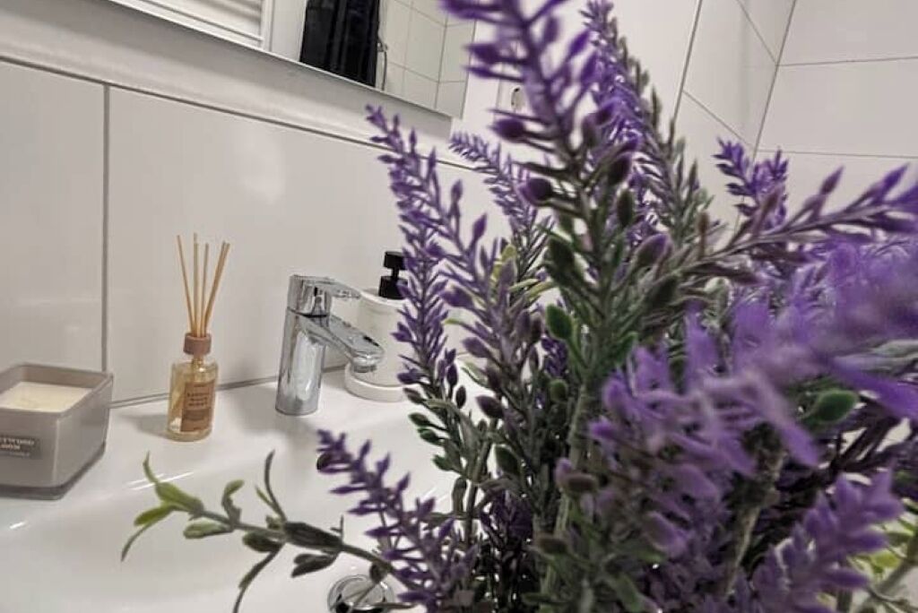 Dusche, Haartrockner, Handtücher, Toilettenpapier