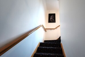 A staircase with a handrail, carpeted steps, and a wall-mounted picture. - Forest Edge - Breathtaking Views of the Hazards (Coles Bay)