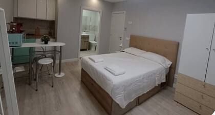 Loft, near the center of Madrid