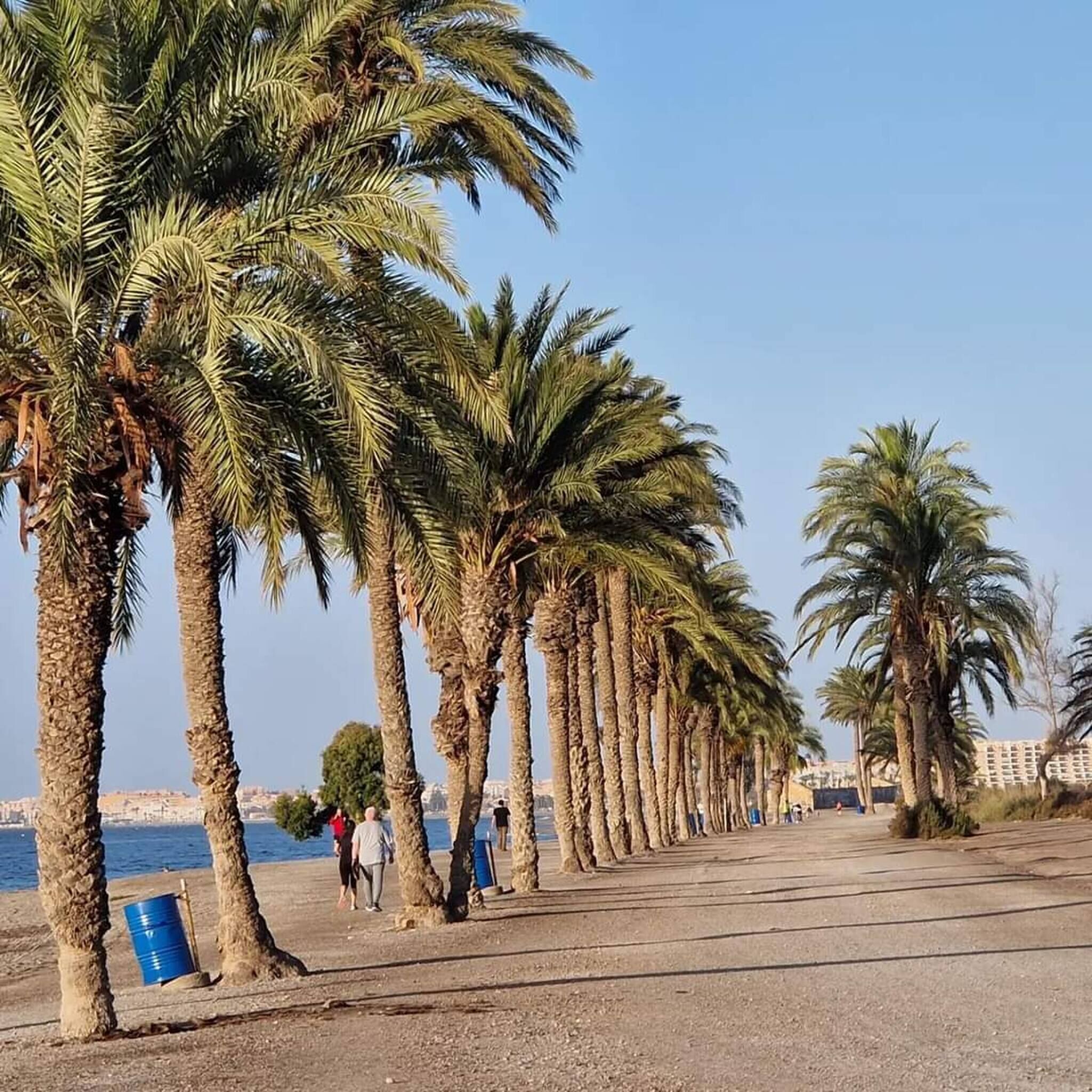 Villa, 4 Bedrooms, Accessible, Smoking | Beach