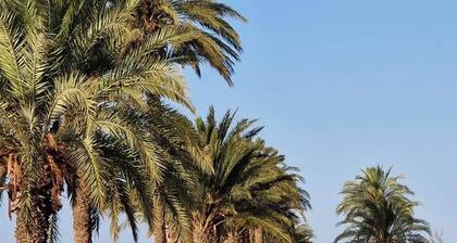 Luxurious 5 Bedroom Beachfront Villa in Roquetas de Mar