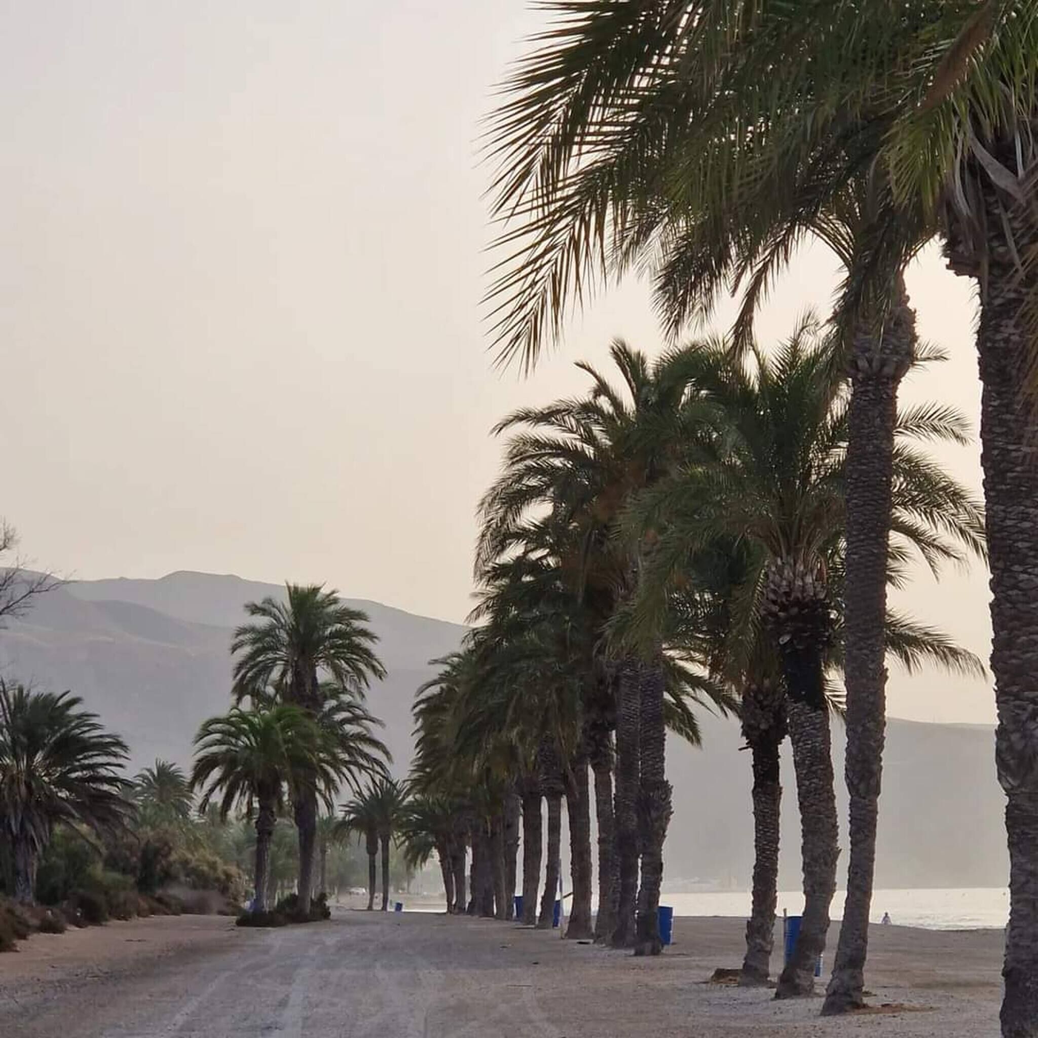 別墅, 4 間臥室, 無障礙, 吸煙房 | 海灘