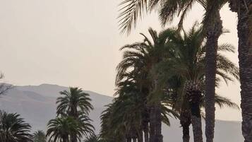 Villa, 4 Bedrooms, Accessible, Smoking | Beach