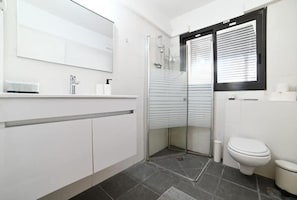 A modern bathroom with a glass shower enclosure, a toilet, and a sink with a mirror above.