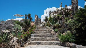 A stone staircase surrounded by various cacti and desert plants, leading up to a white building with a stone wall on one side. - Topos exclusive Mykonos-villa Kymothoe (Agios Ioannis Diakoftis)