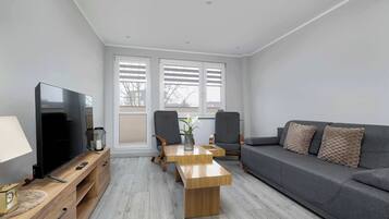 Fernseher, Arbeitsbereiche