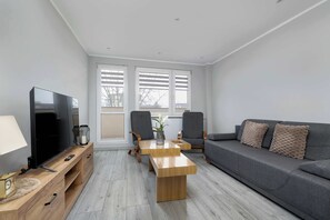 Fernseher, Arbeitsbereiche