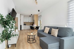 Fernseher, Arbeitsbereiche