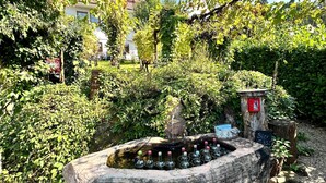 A garden with a stone well, surrounded by greenery and a building in the background.