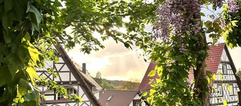 Apartment 'Schwarzwald Martini' with Mountain View, Shared Garden and Wi-Fi