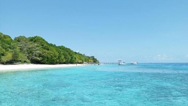 A clear view of a beach with turquoise water, a white sandy shore, and a forested hill in the background. - Turtle Garden Lodge  (Mabul Island)
