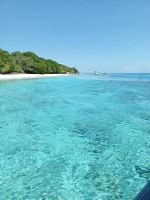 Private beach nearby - Turtle Garden Lodge  (Mabul Island)