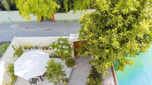A rooftop garden with a table and chairs, surrounded by various plants and a large tree. - Oceanvine Maldives (Mahibadhoo)