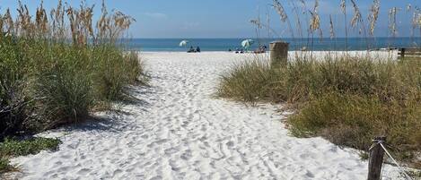 Playa en los alrededores