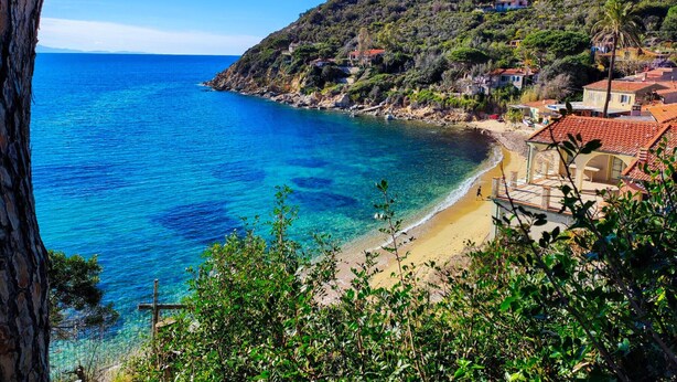 A coastal area with a beach, houses with red-tiled roofs, and a hillside with vegetation. - Apartment Gabbiana Elba Island (Portoferraio)