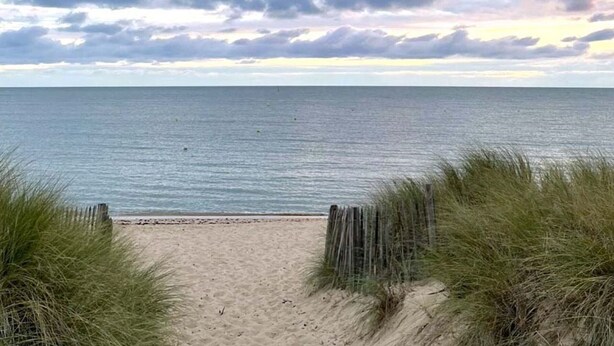 En strand med en sandstig som leder ner till vattnet, omgiven av gräs.