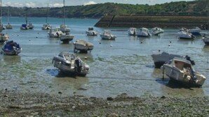 Um porto com numerosos barcos pequenos ancorados em águas rasas, rodeado por uma linha costeira rochosa e uma colina verde distante.