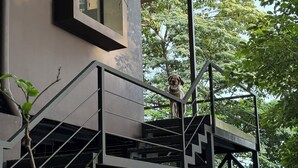 A modern house with a balcony, surrounded by lush greenery.