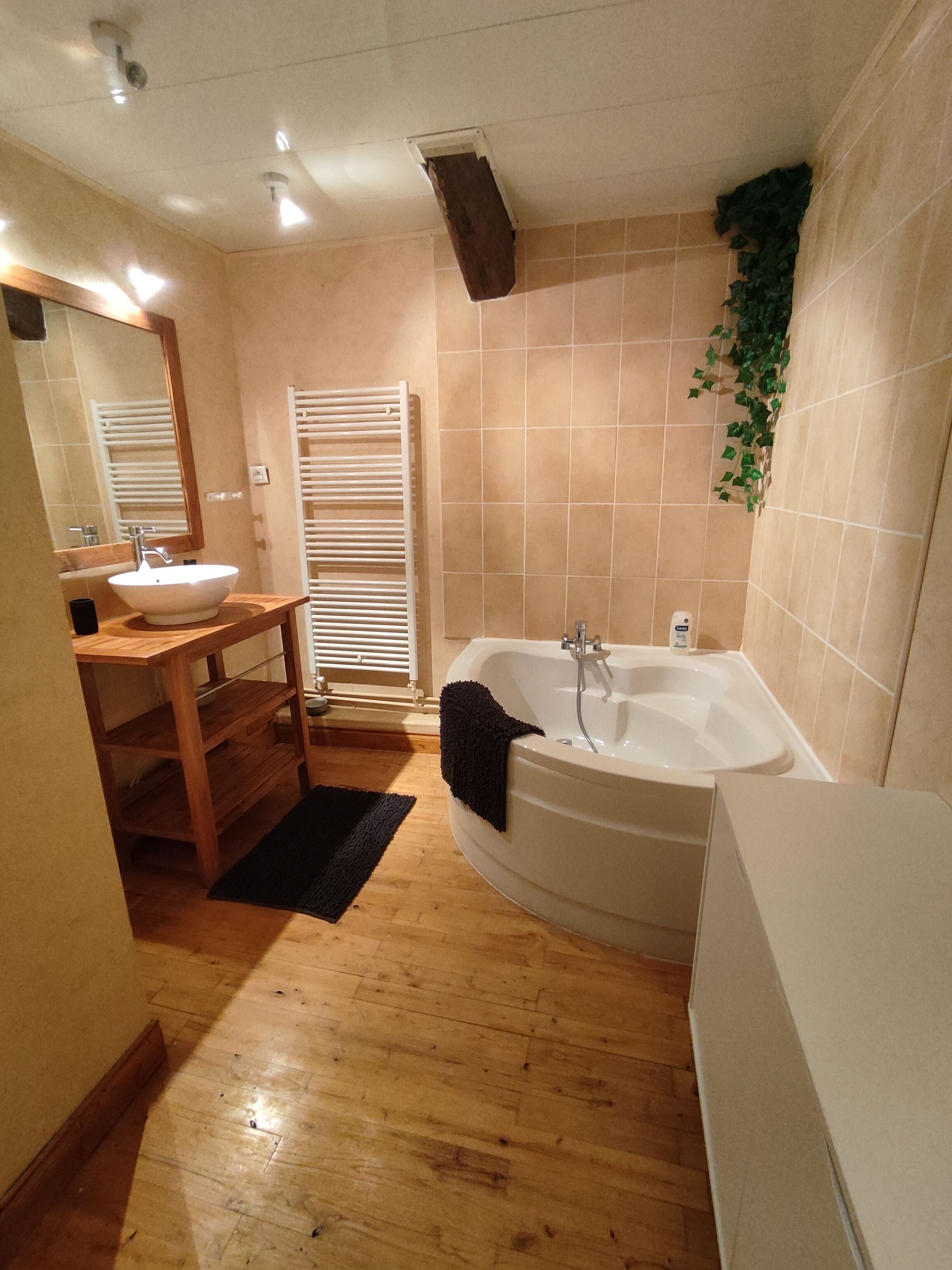 Sèche-cheveux, serviettes fournies, savon, papier toilette