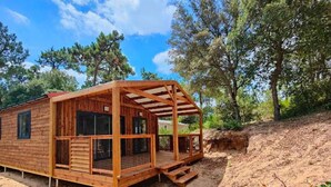 Une cabane en bois dotée d’un porche et de fenêtres, entourée d’arbres et bordée d’un espace en terre battue.