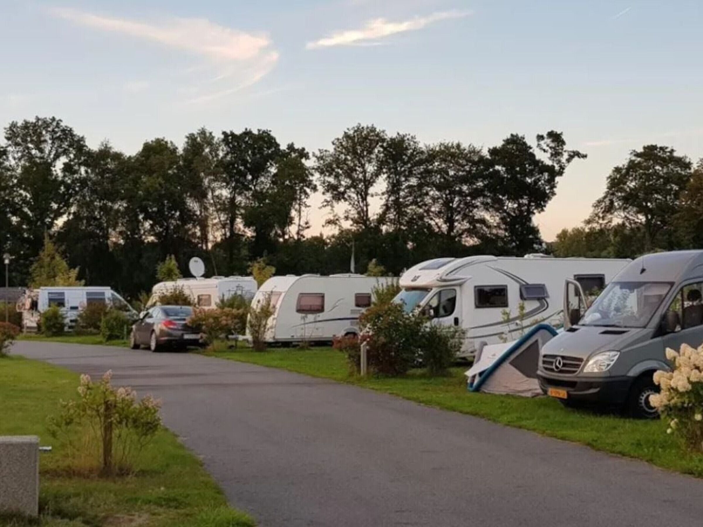 Une rangée de camping-cars est stationnée le long d’un chemin pavé, avec une zone herbeuse et des arbres en arrière-plan.