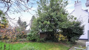 A garden with a variety of plants and a bench. - Violet's Rest (Exeter)