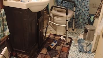 Hair dryer, towels, soap, toilet paper