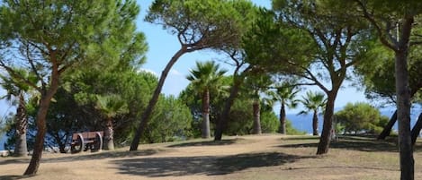 Terrein van de accommodatie