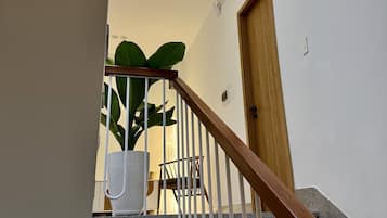 Computer monitors, printers