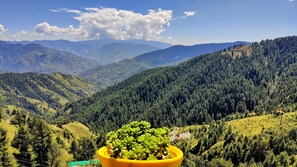 Mountain view - Aakarsh Homestay - Pahadi Food Hub (Fagu)