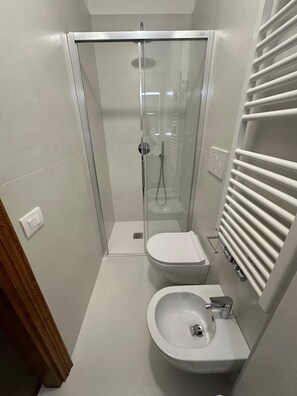 Shower, bidet, towels, toilet paper
