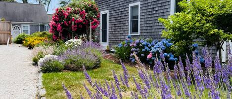 المنطقة المحيطة بالمنشأة