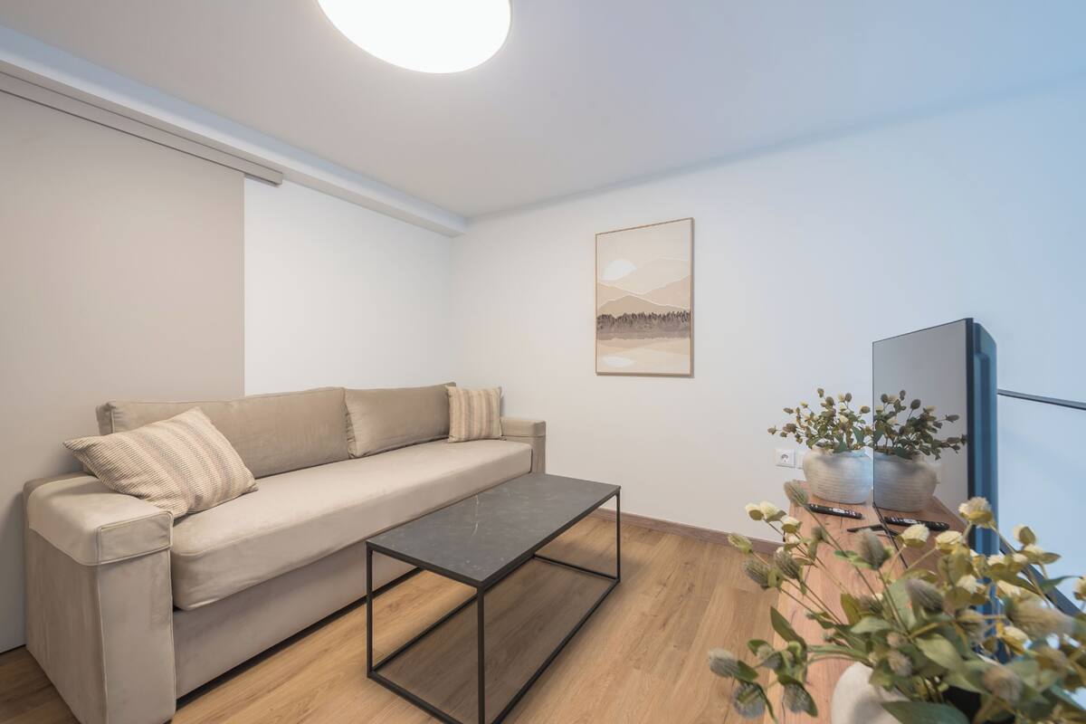 A modern living room with a sofa, a coffee table, a flat-screen TV, and a framed picture on the wall.