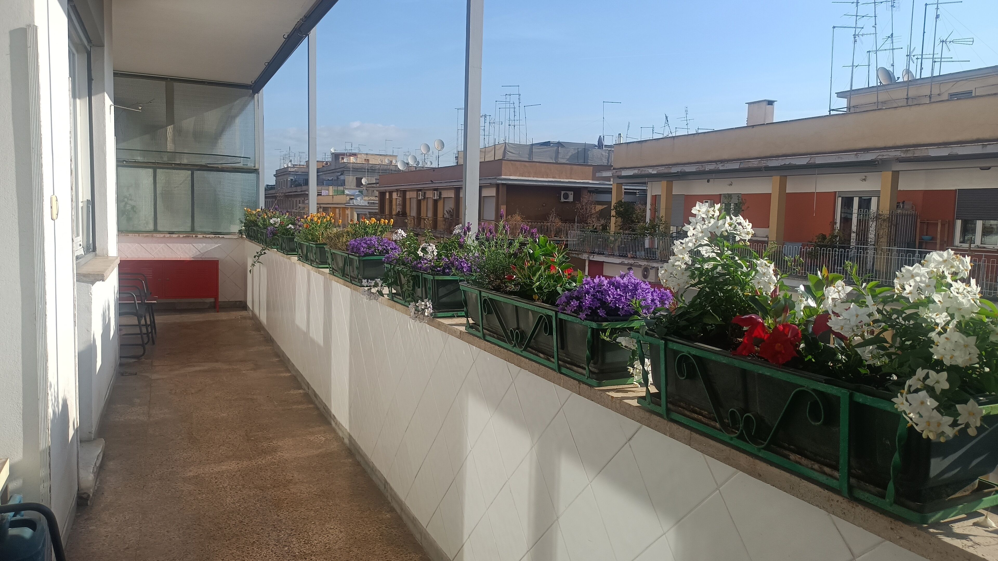 Jardines del alojamiento